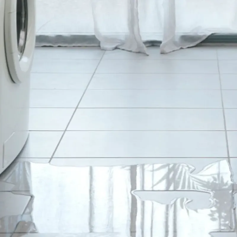Appliance Leak Cleanup in Pine Manor, FL