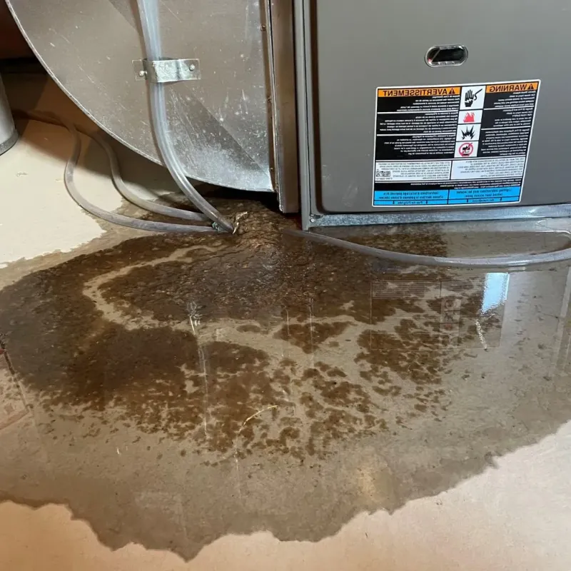 Pipe Burst and Leak Restoration in Pine Manor, FL